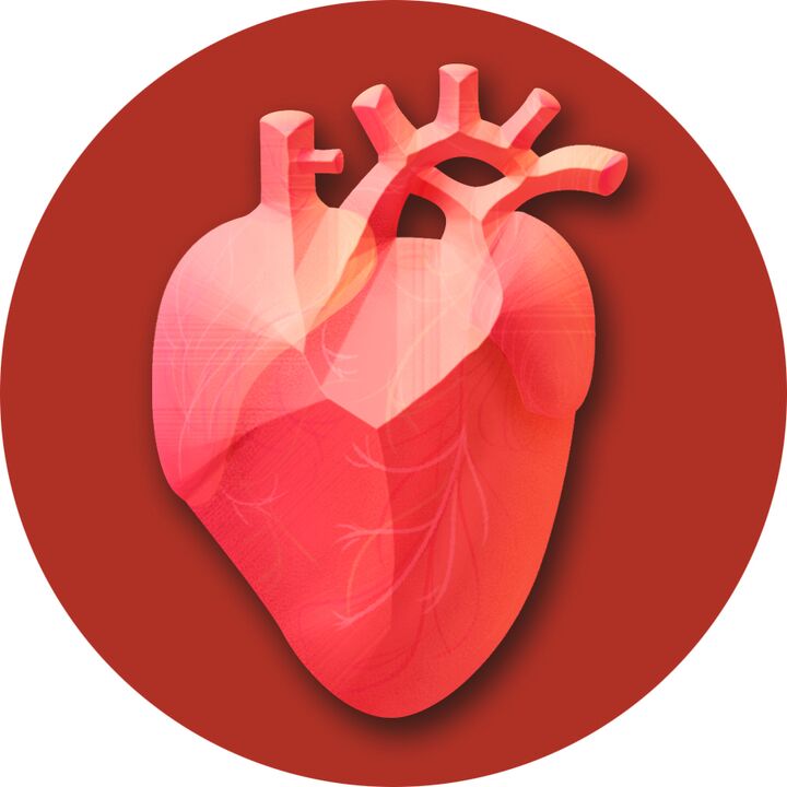 Hypertension – stress sur le cœur